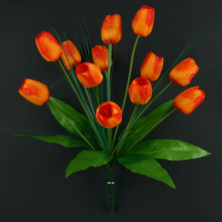 Tulip x 12