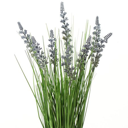 Decorative grass with lavender