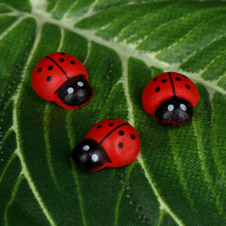 Ladybugs x 15 pcs