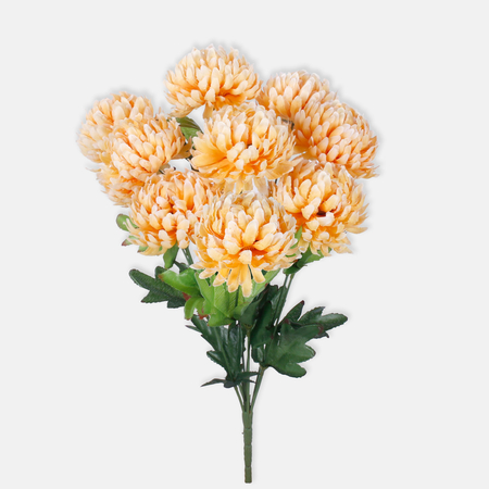 Chrysantheme x 9