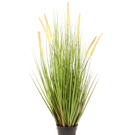 Grass with sticks in pot 0,90 m