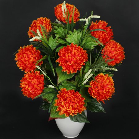 Chrysantheme x 18