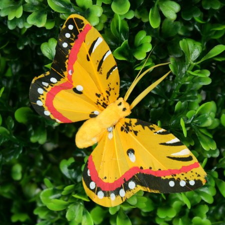 Schmetterling mit Clips