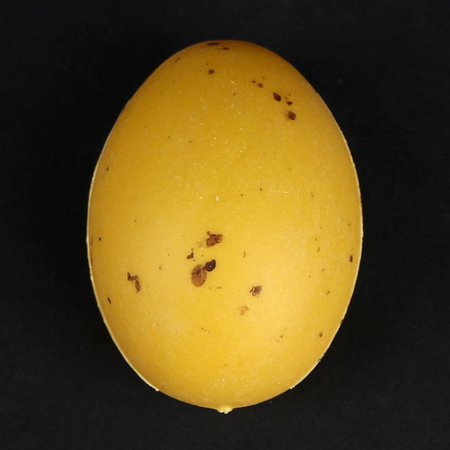 Egg x 12 pcs