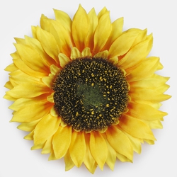 Sunflower W737