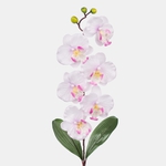 White/Lilac (L160-05)