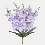 Lilac (Q998-05)