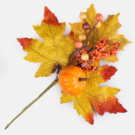 Maple twig with berries and pumpkin
