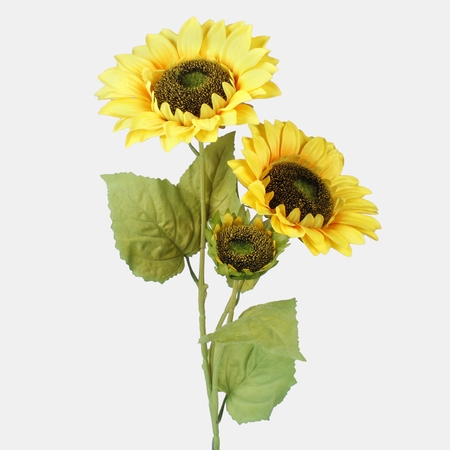 Sonnenblume x 3