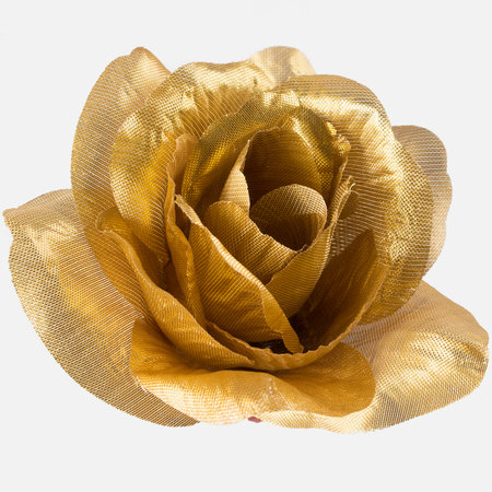 Glänzende Rose