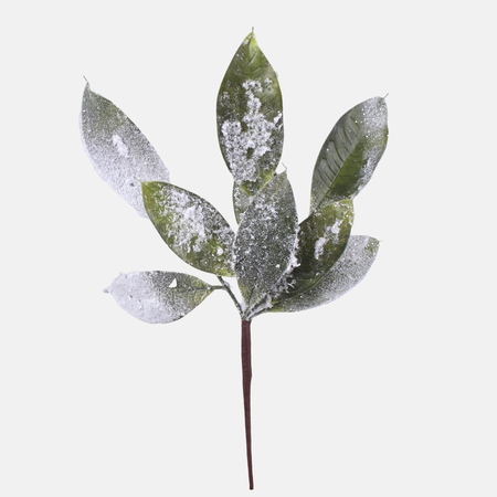 Frosted bay leaf
