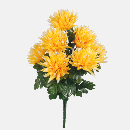 Chrysantheme x 7