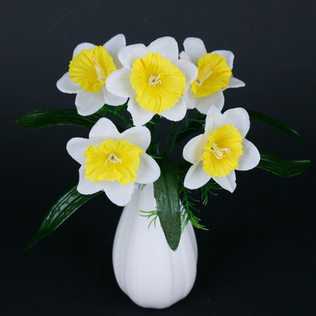 Daffodil x 5