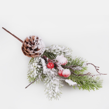 Snow-covered fir with berries