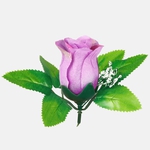 T.T. Lilac (W484P-26)