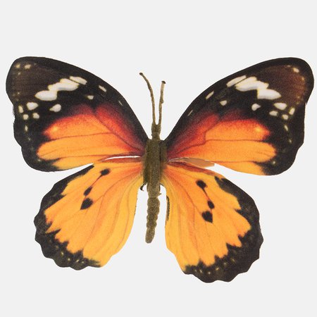 Schmetterling auf einem Clip