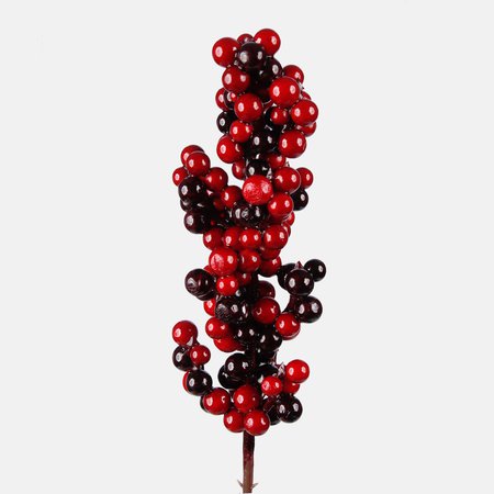 Berry on peak x 12