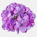 Lilac (W528B-23)