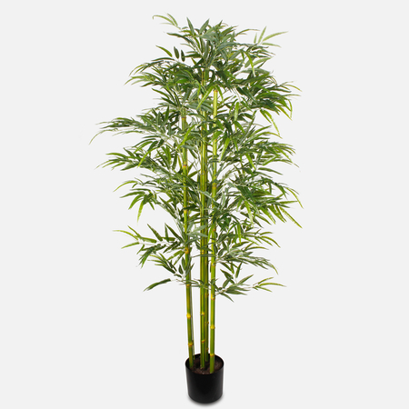 Bambus 1,75 cm
