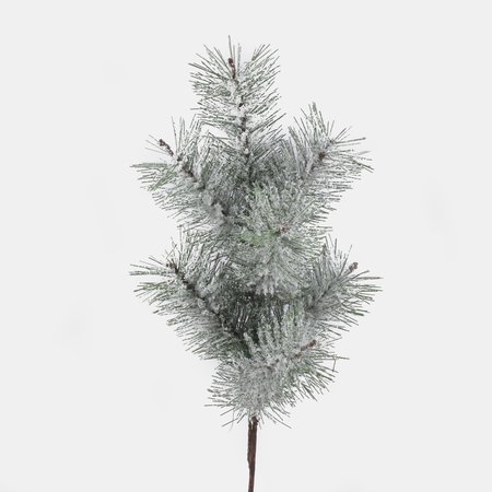 Snow-covered spruce twig 38 cm