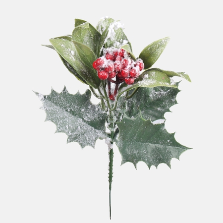 A snow-covered holly with berries on the peak