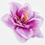 Lilac (W613-06)