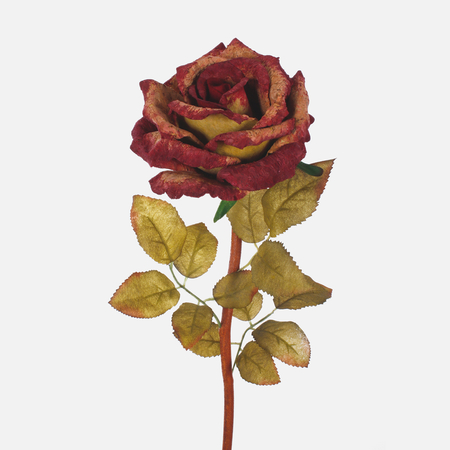 Rose aus Kork
