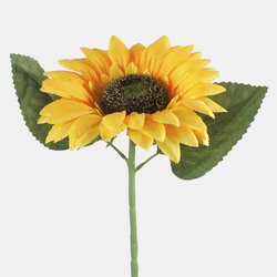 Sunflower L773