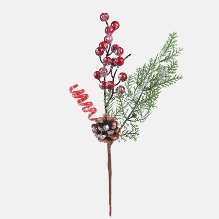 Thuja with berries and pine cone