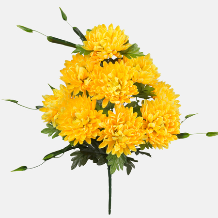 Chrysantheme x 9