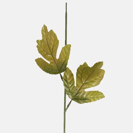 Chrysantheme-Stengel