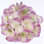 Lilac Edge (W528B-08)