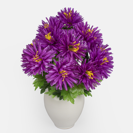 Chrysanthemum x 11
