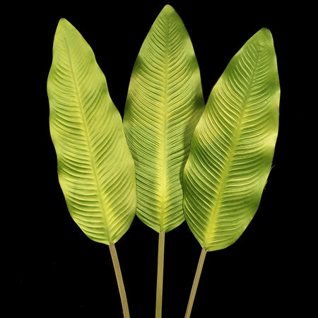 Satin banana leaf
