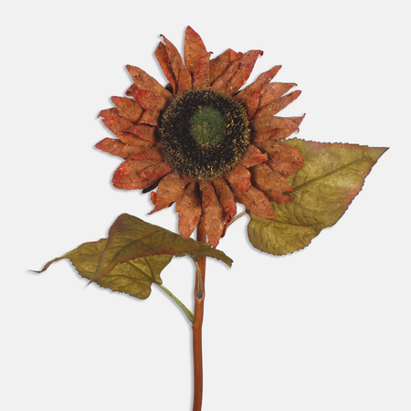Sonnenblume aus Kork