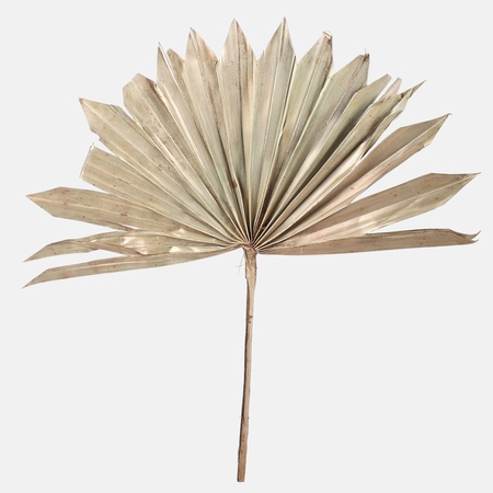 Gilded Palm Sun Spear