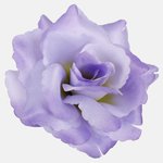 Lilac (W529-06)