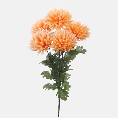 Chrysantheme x 5