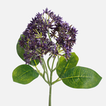 Lilac (A426-02)