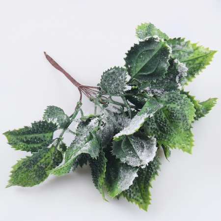 Snow-covered mint on the pick
