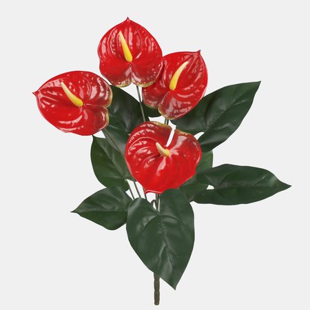 Anthurium bouquet