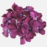 Lilac/Purple Edge (W707-06)