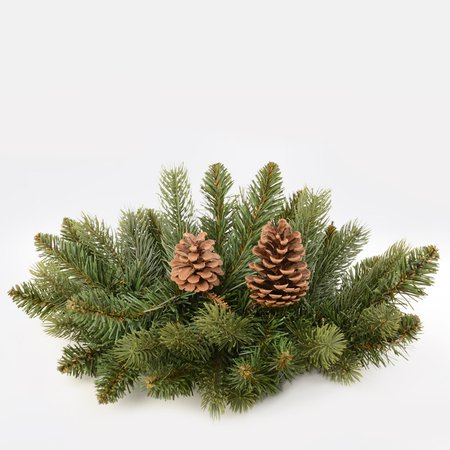Big teardrop-shape spruce big decoration with natural cones
