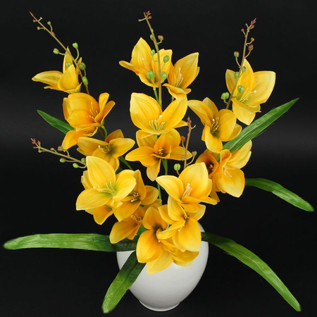 Orchidee x 5