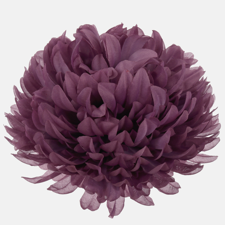 Chrysantheme XL