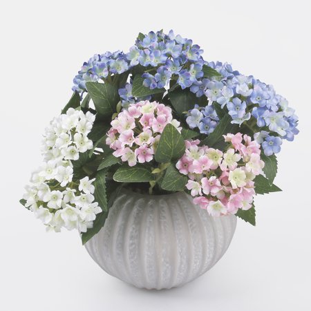 Hydrangea mini bouquet