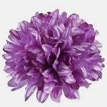Lavender (W208-36)
