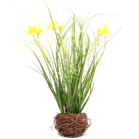 Grass with daffodils in the nest 0,25 m