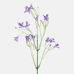Lilac (A429K-04)