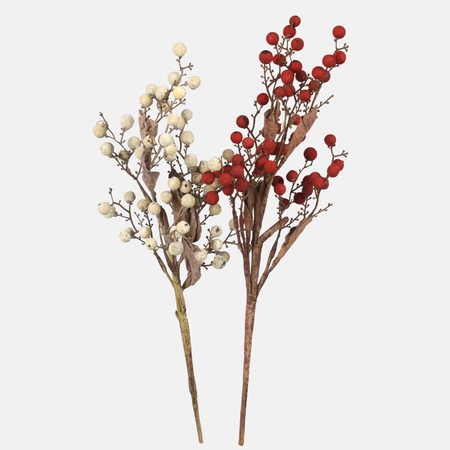 A sprig of hawthorn with fruit